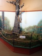 Diorama depicting the initial discovery