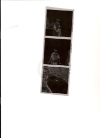 Negatives for photos of Fred Nolan