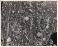 Photo of Gaspereaux Rock, version 2