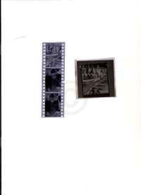 Restall Negatives (4 images)