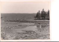 Beach with pools of water