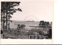 Island view with fence at bottom