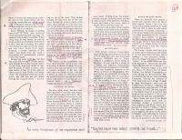 Update on the Money Pit p4