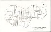 Ownership of Island lots in 2004