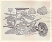 Bits of wood from ca. 1575 plus brick-like material from Borehole #9