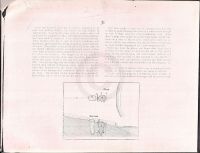 The Old Gold Salvage and Wrecking Company: A $10,000,000 Treasure p2