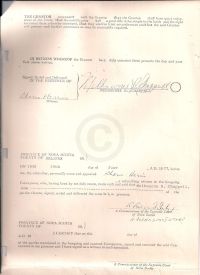 Land grant from M R Chappel to David Tobias p3
